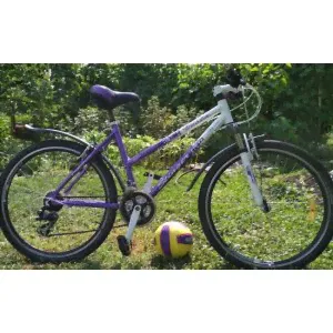 Stinger Vesta 26