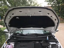 VSUPKP CARIUS Уплотнитель капота Carius Lada Vesta цельный (3м)