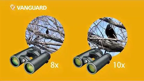Vanguard VEO HD2 10x42 Carbon Fernglas